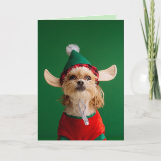 PETITE PETITE CARTE DE NOËL DE CHIEN ELF FUNNY (Devant)