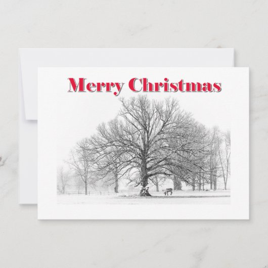 Petite scène d'hiver Carte de Noël Bow blanc (plat (Devant)