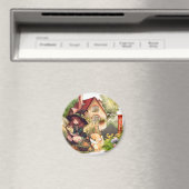 Petite Sorcière Et Renard Mignon Magnet (In Situ (Lave-vaisselle))