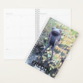 Petite statue ornementale d'une grenouille. (Devant avec enveloppe)