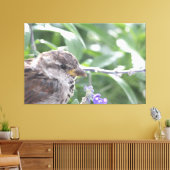 Petite toile d'oiseau (Insitu(Salon))