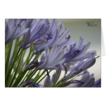 Petites fleurs(5.0)
