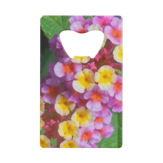 Petites fleurs tropicales roses et violettes jaune (Devant)