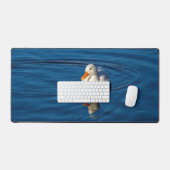 Petites réflexions de canard blanc (Clavier et souris)