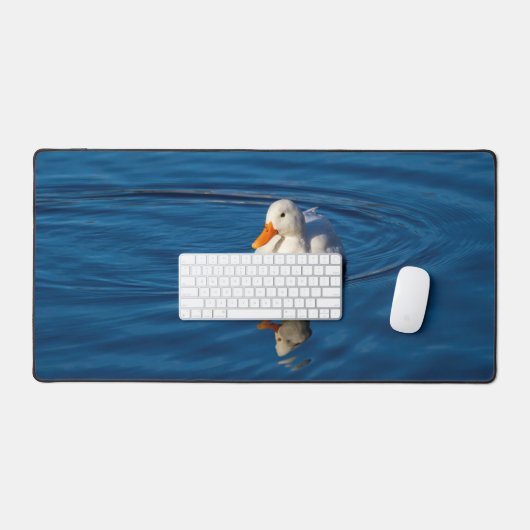 Petites réflexions de canard blanc (Clavier et souris)