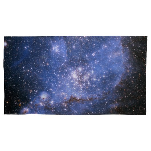 Petites taies d'oreiller de nuage de Magellanic (devant-gauche)