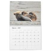 Petits animaux d'ours gris de calendrier de (Feb 2027)
