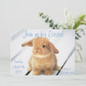 Petits Bébé Bunny Invitations de Pâques (Debout devant)