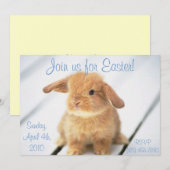 Petits Bébé Bunny Invitations de Pâques (Devant / Derrière)