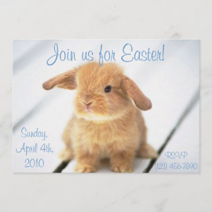 Petits Bébé Bunny Invitations de Pâques