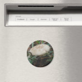 Petits champignons Brown OBX Magnet (In Situ (Lave-vaisselle))