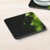 Petits Dessous de verre d'araignée (Côté gauche)