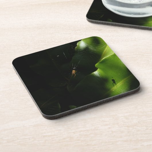 Petits Dessous de verre d'araignée (Côté gauche)