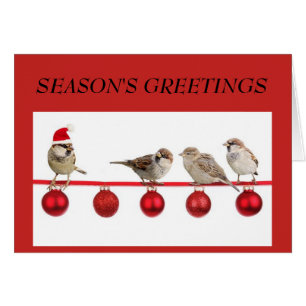 Petits oiseaux sur la carte de voeux de Noël roug
