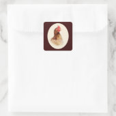 Petits Stickers Hen Brown (Sac)