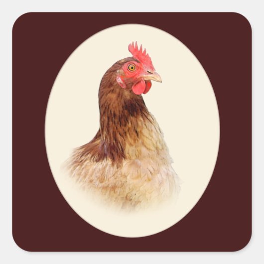 Petits Stickers Hen Brown (Devant)