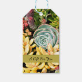 Petits succulents Étiquette cadeau personnalisé (Devant)