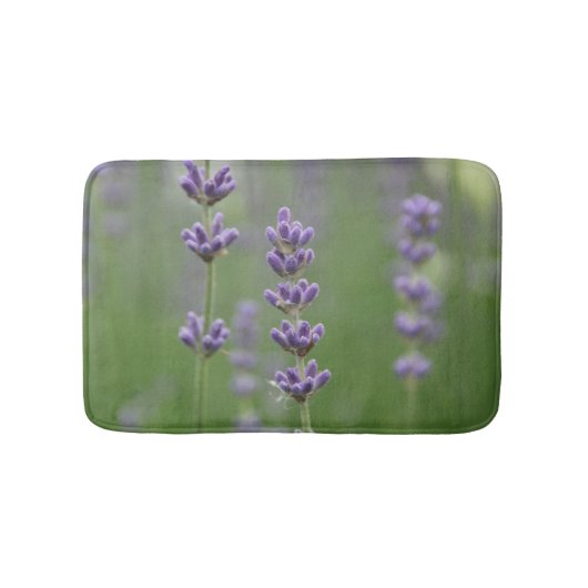 Petits tapis de bain de lavande savoureuse (Devant)