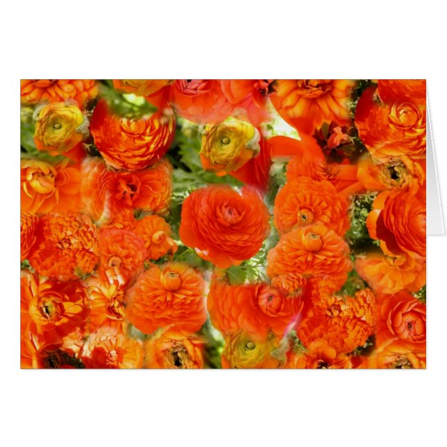 Petits visages (Devant horizontal)