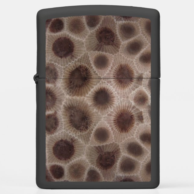 Petoskey Stone (Voorkant)