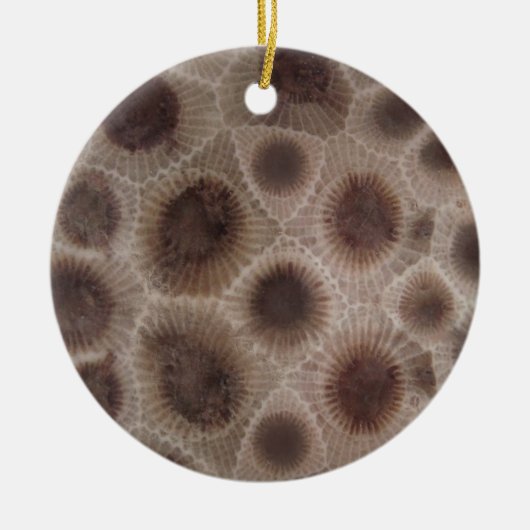 Petoskey Stone Keramisch Ornament (Voorkant)