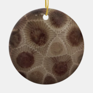 Petoskey Stone Keramisch Ornament