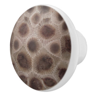Petoskey Stone Keramische Knop