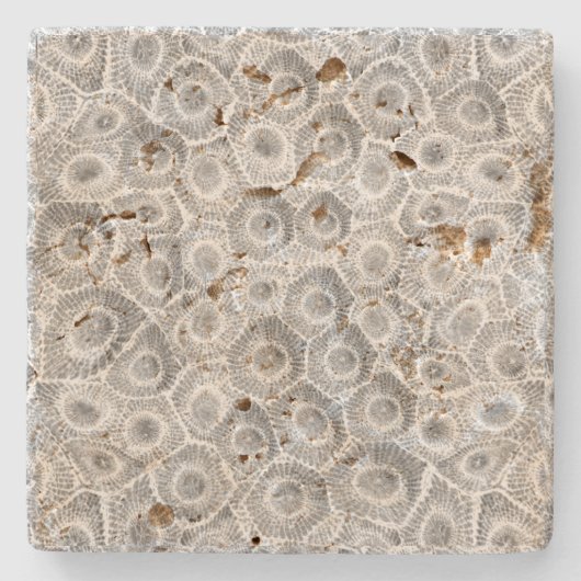 Petoskey Stone Pattern Stenen Onderzetter (Voorkant)