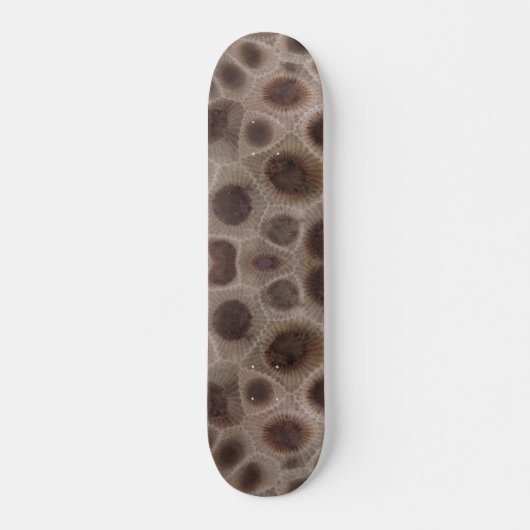 Petoskey Stone, staatsteen Michigan Skateboard (Voorkant)