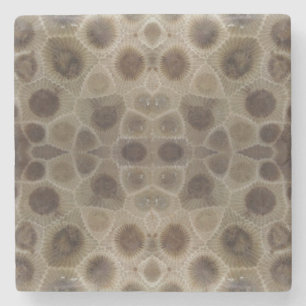 Petoskey Stone Stenen Onderzetter