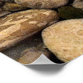 Petoskey Stones met Shells l Poster (Hoek)