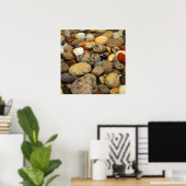 Petoskey Stones met Shells Poster (Thuiskantoor)