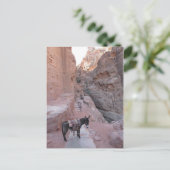 Petra Donkey Briefkaart (Staand voorkant)