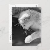 Petra Poised Briefkaart (Voorkant / Achterkant)