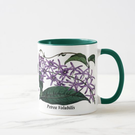 Petrea Volubilis Mok (Rechts)