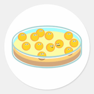 Petri Dish MRSA Ronde Sticker