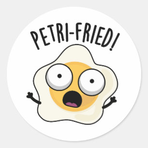 Petri-gebakken Grappige Gefrituurde Ei Pun Ronde Sticker
