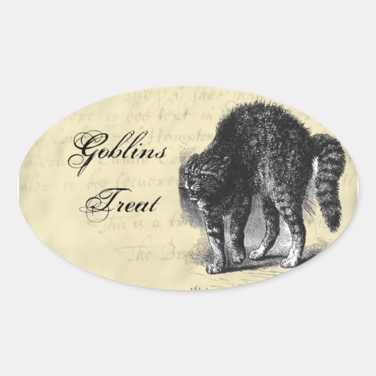 Petrified Cat Halloween Ovale Sticker (Voorkant)
