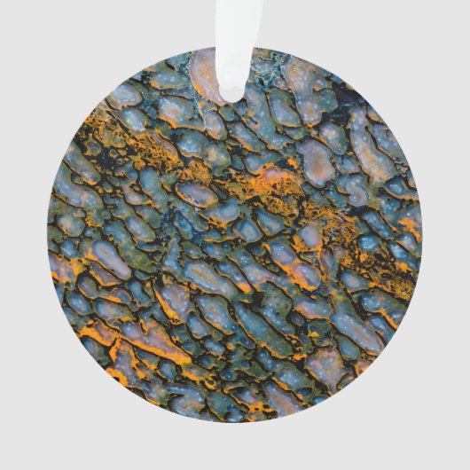 Petrified Dinosaur Bone Ornament (voorkant)