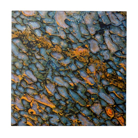 Petrified Dinosaur Bone Tegeltje (Voorkant)