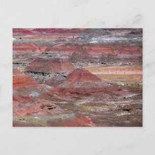 Petrified Forest 2 Briefkaart