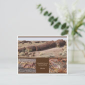 Petrified Forest, Arizona Briefkaart (Staand voorkant)