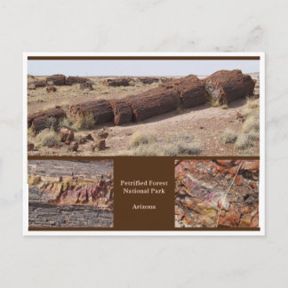 Petrified Forest, Arizona Briefkaart