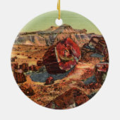 Petrified Forest Arizona Ornament (Achterkant)