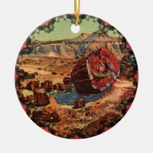 Petrified Forest  Arizona Ornament (Voorkant)