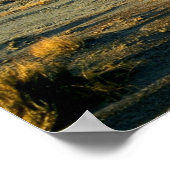 Petrified Forest Desert Arizona Landscape Foto Poster (Hoek)