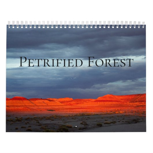 Petrified Forest Kalender (Hoes)