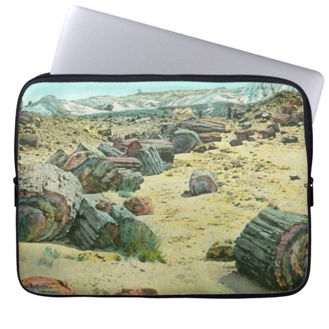 Petrified Forest Laptop Sleeve (Voorkant)