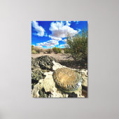 Petrified Forest Mark Canvas Afdruk (Voorkant)