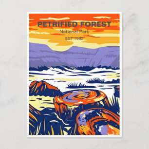  Petrified Forest National Park Arizona Briefkaart